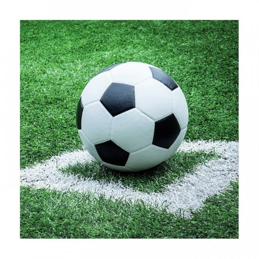 Servietter - Lunsj - 33x33cm - Fotball