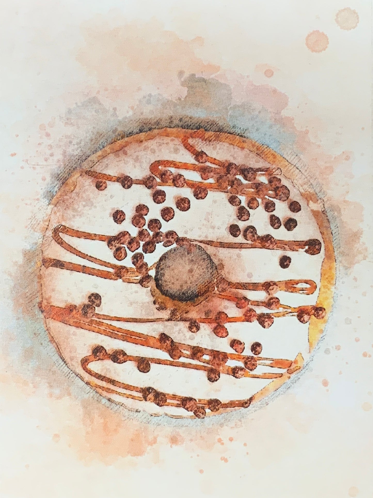 Toppers - Donuts cakes 24stk 7x10