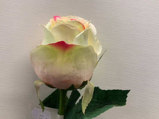Roser silkeblomst  hvit med rosa  detalj