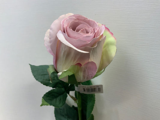 Roser silke lys lilla / hvit