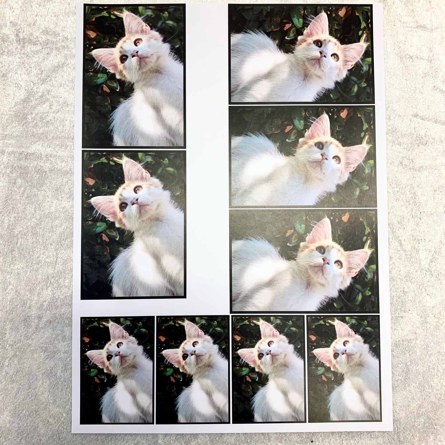 Toppers / motiv klippark - Katter