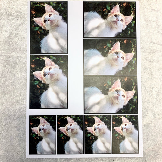 Toppers / motiv klippark - Katter